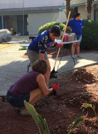 Kings Lions and Lowe's workers work on the Senior Citizen landscape.